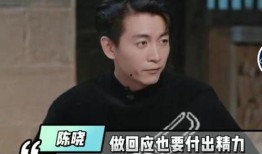 娱乐圈刘大锤爆料,揭秘明星背后的惊人真相