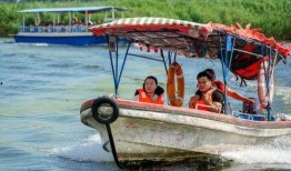 老电影雁翎队在线观看,抗日传奇，英勇抗敌的红色雁阵